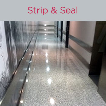 Floor Strip and Sealing