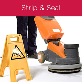 Floor Strip & Sealing